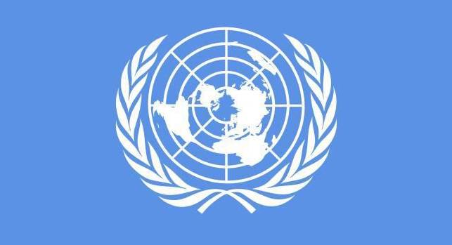 上海迎來中國首個(gè)聯(lián)合國二類機(jī)構(gòu)，軟件教育創(chuàng)新引發(fā)世界關(guān)注